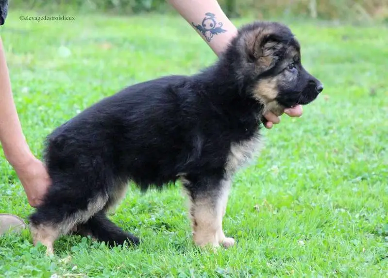 Orlane des trois lieux