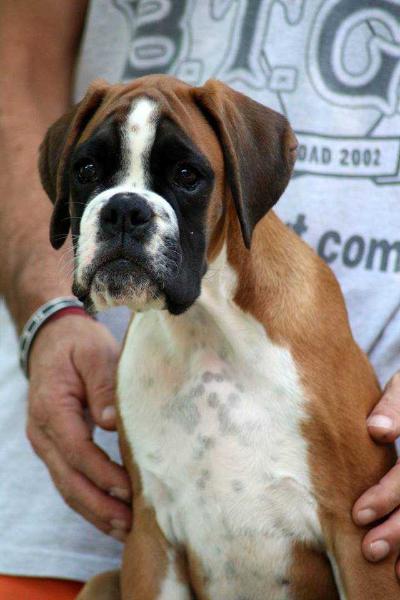 Hannah Est Suum Cuique