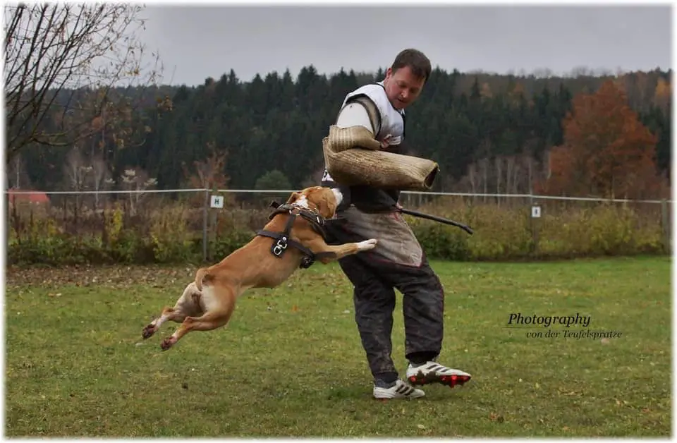 Immortal Soldiers Haters gonna hate