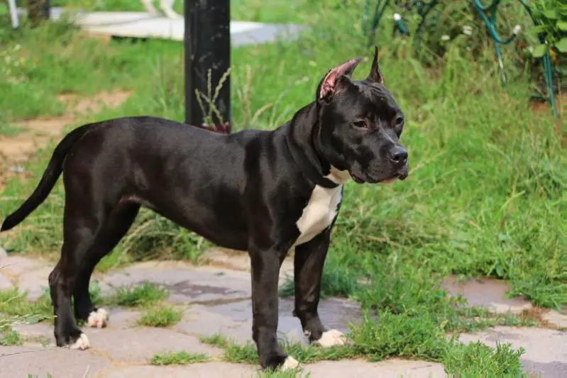 VALTER'STAFF GUCCI NIGHT WORLD