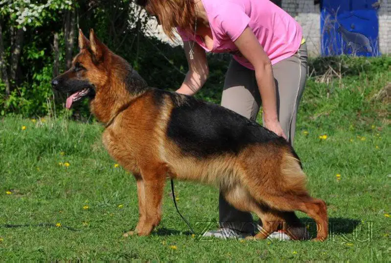 Team Zilber Wasserfall ANKA