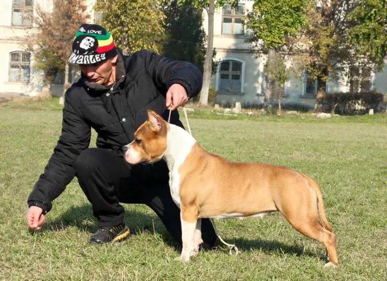 Thunder Rock's Odessa