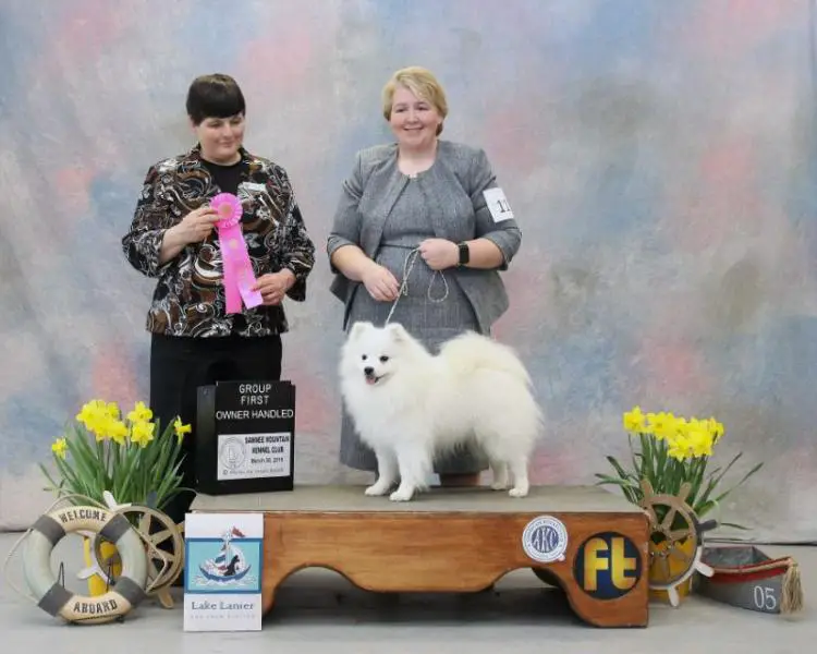 GCH CH Arctic Rose’s Afterburn