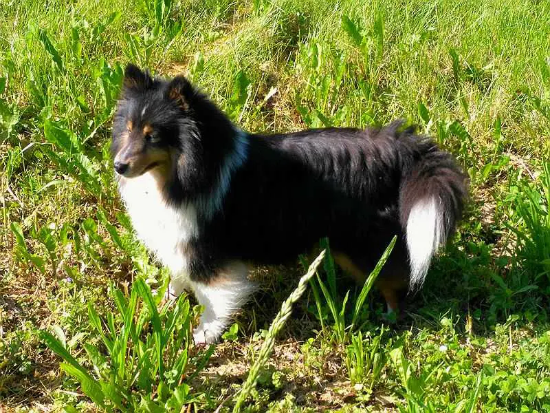 Baby Doll Bonnie Keeps Beat