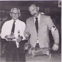 CH Brunswigs Xenobia MW