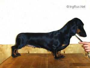 SABRINA VLASTA IZ T'AKS LAND