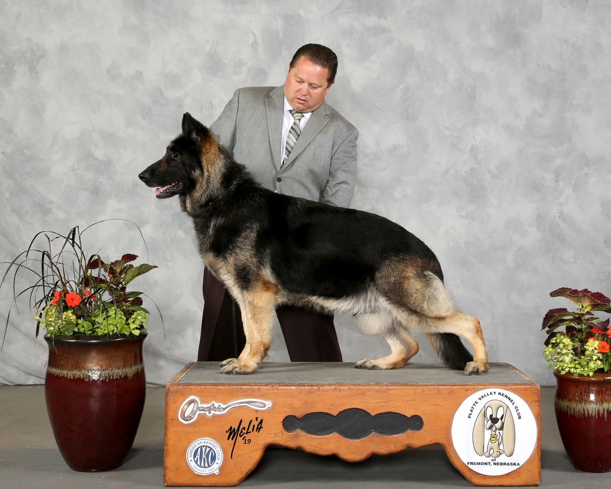 Elite Design Asia Tokaye Dershimer