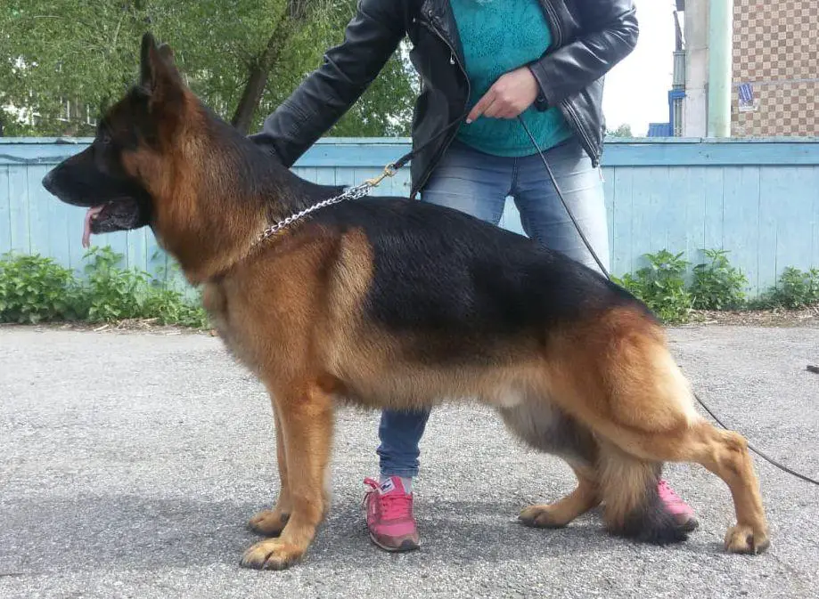 Erat Gratz Shegerhofer