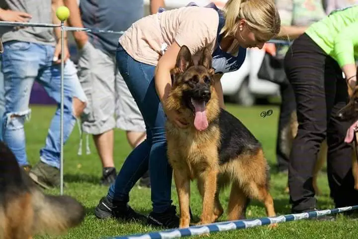 Lexy vom Drei Schwarze Engel