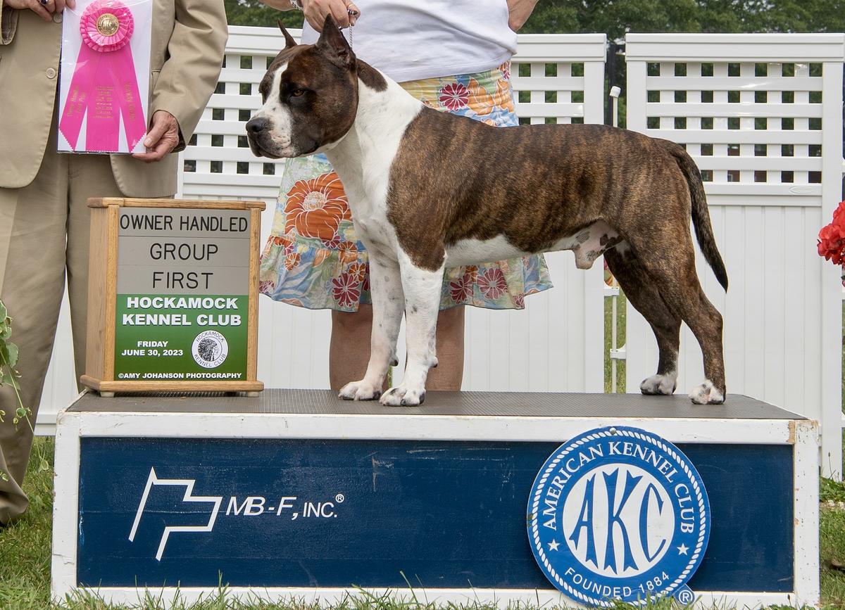 GCH CH Tradewind's Bring The Rain