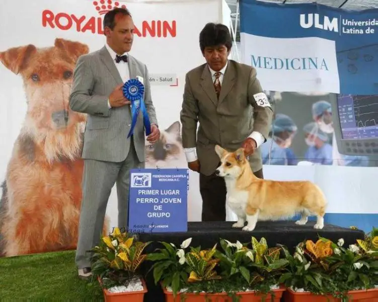 Larklain Parkers Flor De Aguamiel