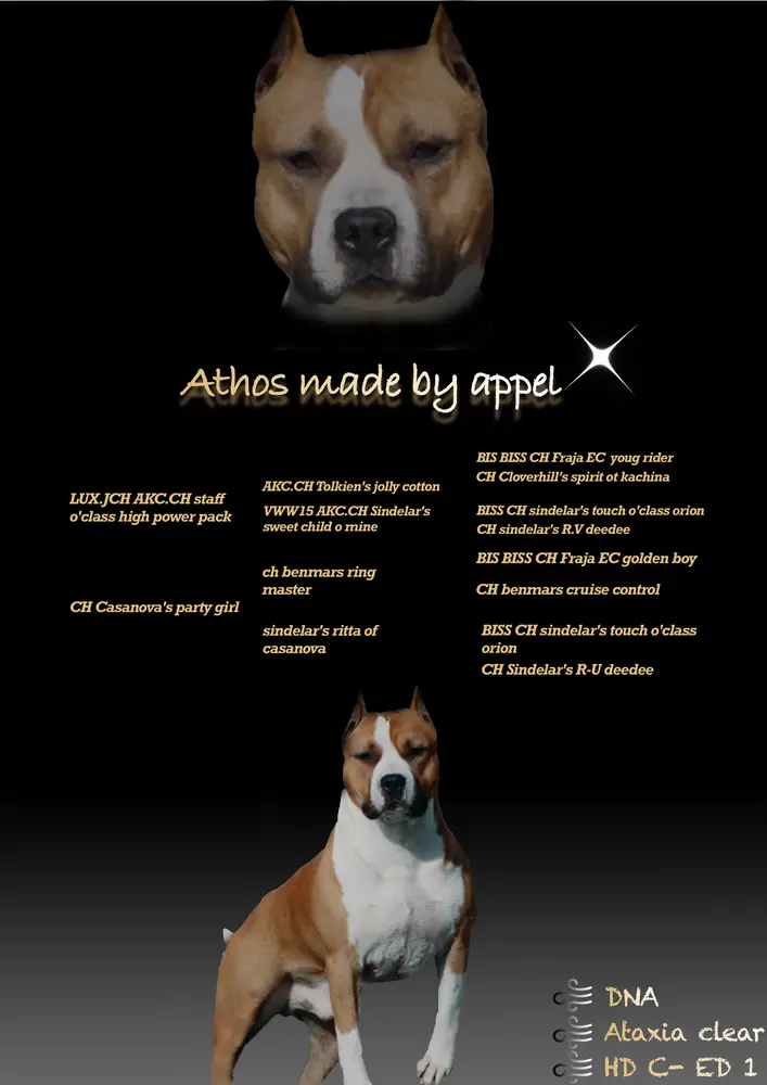 athos made by appel