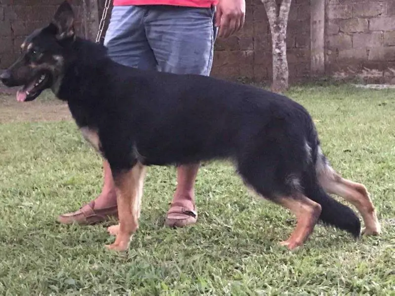 Windfang von der Schiffslache