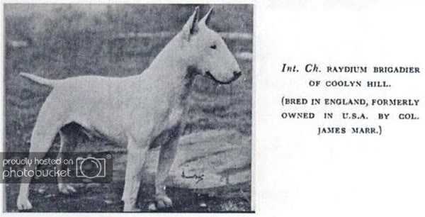 CH Raydium Brigadier