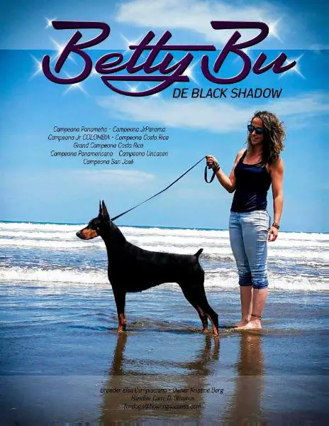 Ch Panama, GrCh Costa Rica, Jr Ch Columbia, Int'l Ch Panam Betty Bu De Black Shadow