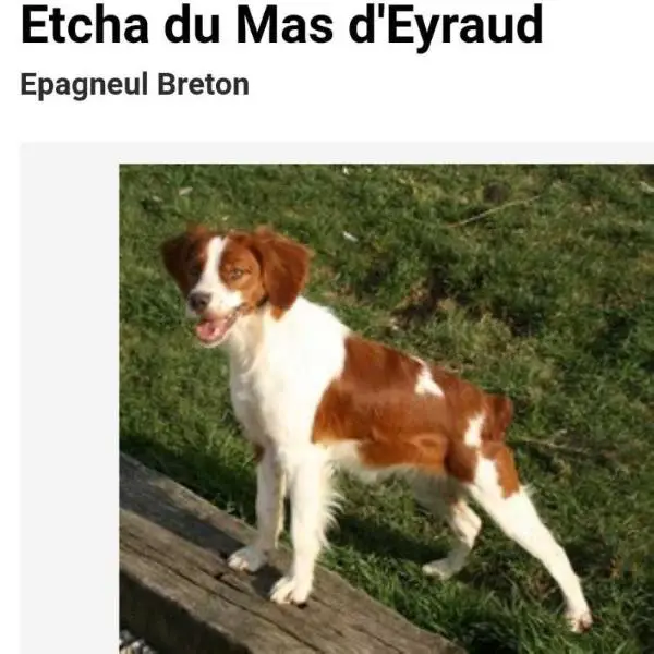 ETCHA du mas d'Eyraud