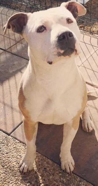 Everybody wants to rule the world