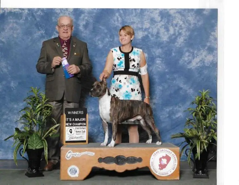 AKC CH, Res BIS Int'l CH Blue Nile's Sweet Thing