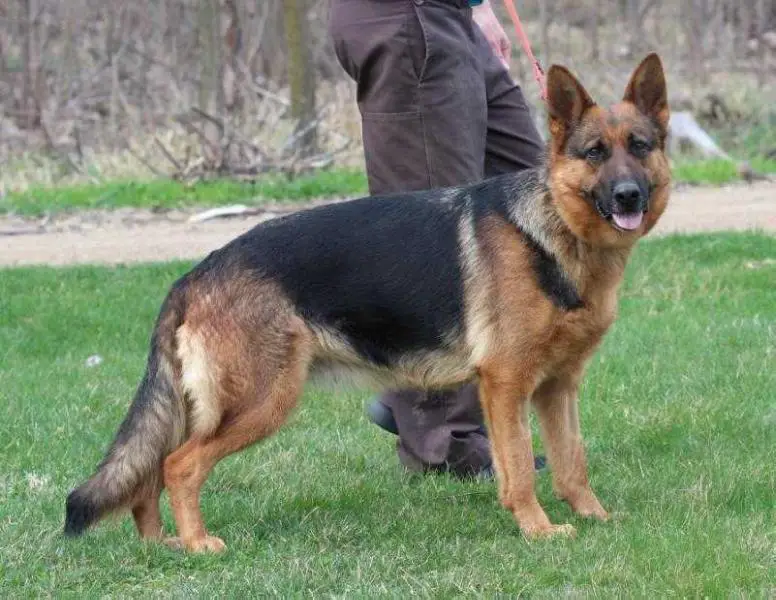 Tia Reinehund Vom Kolenda
