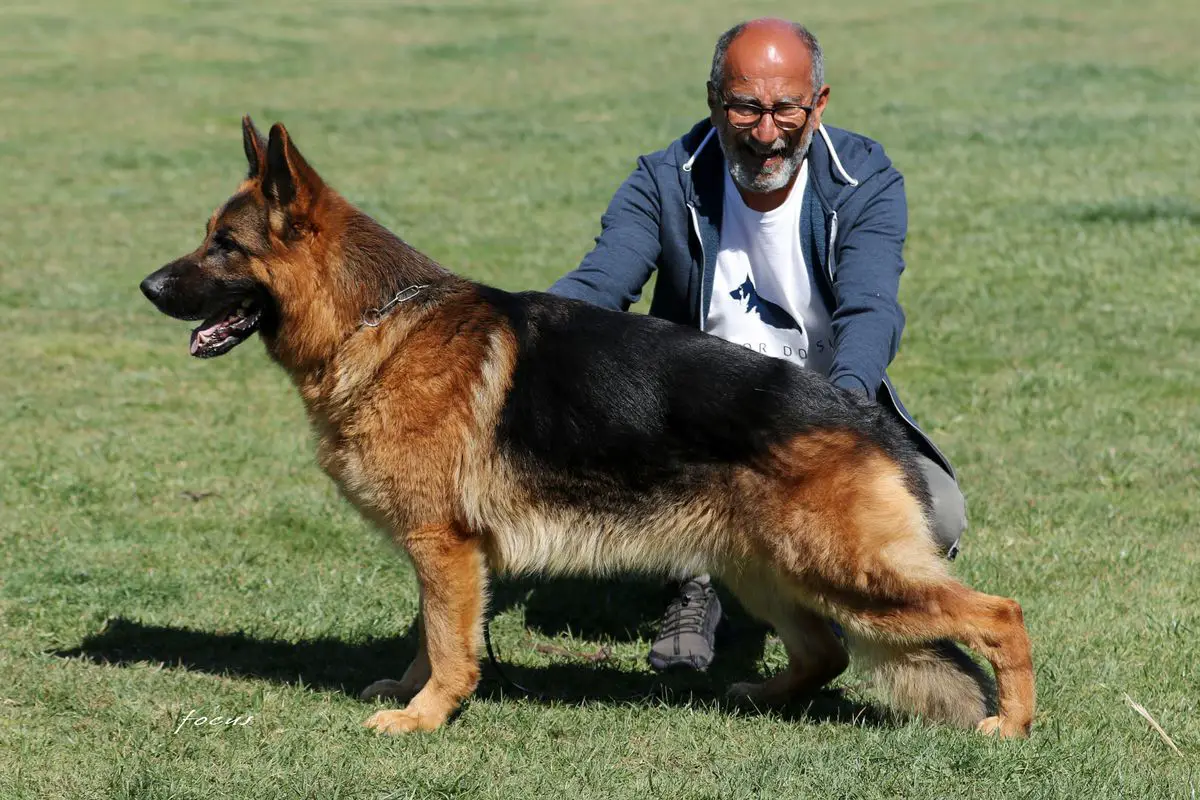 Slash aus der Brunnenstraße