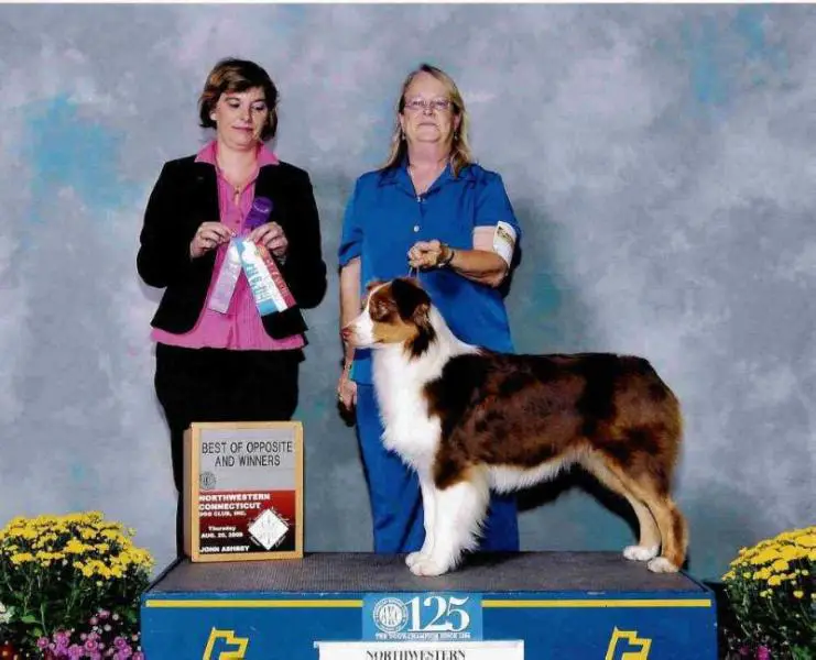 CH Buff Cap Forever Amber