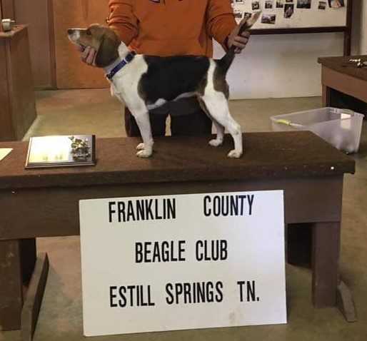 Farley's Lead Foot Daisy