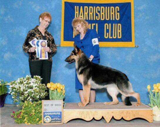 CH Casamoko’s Pick Your Poison V Peakes Brook