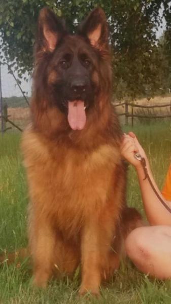 SG Jula z Hipolitowa