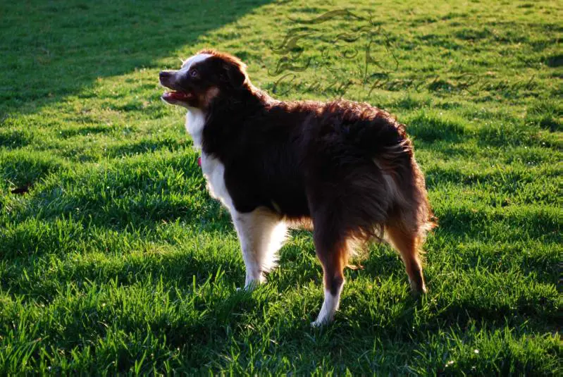 Reinalla Ari's Lil Bit Of Destiny