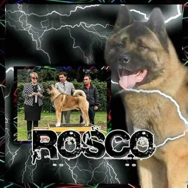 Rosco (Sanchez)