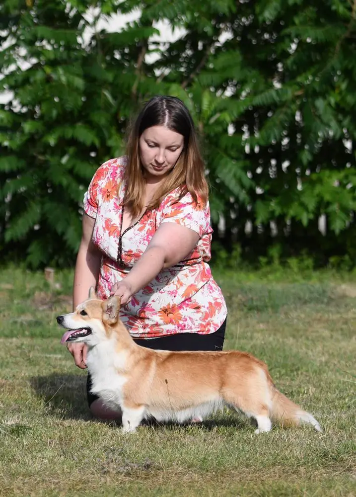 EVER-CURIOUS MISS NOSEY Dellbenq (FCI)