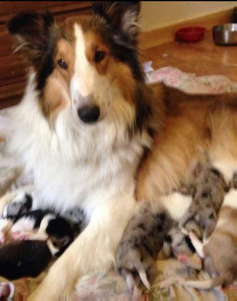 Autumn In Full Color