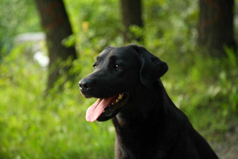 Touch of Forever Autumn Colours