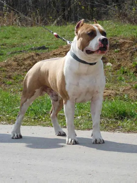 JCHR, CHR, CHRKF BAKARORO END ITUBORI ULAN III