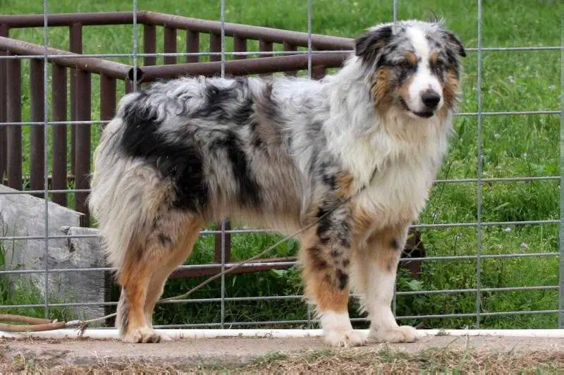 Twin Oaks .32 Winchester