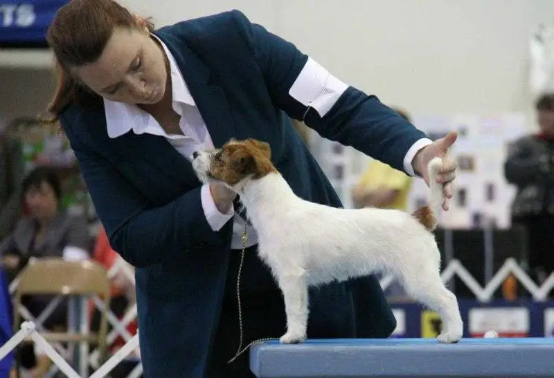 River Branch All That Glitters