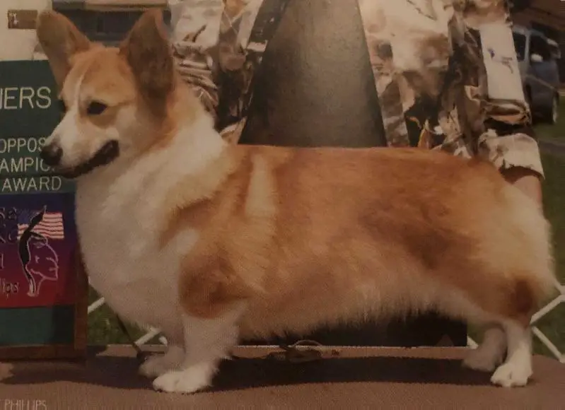 CH Sunrunners Princess Caroline