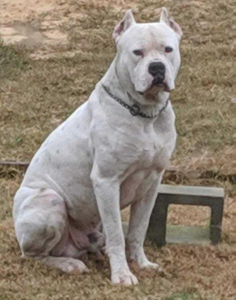 Jackson's Patch Work