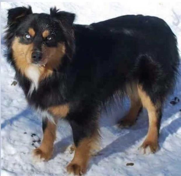 Demi's You Had your Chance