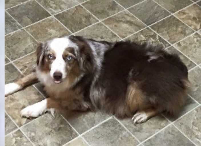 Pleasant Woods S&M Miley