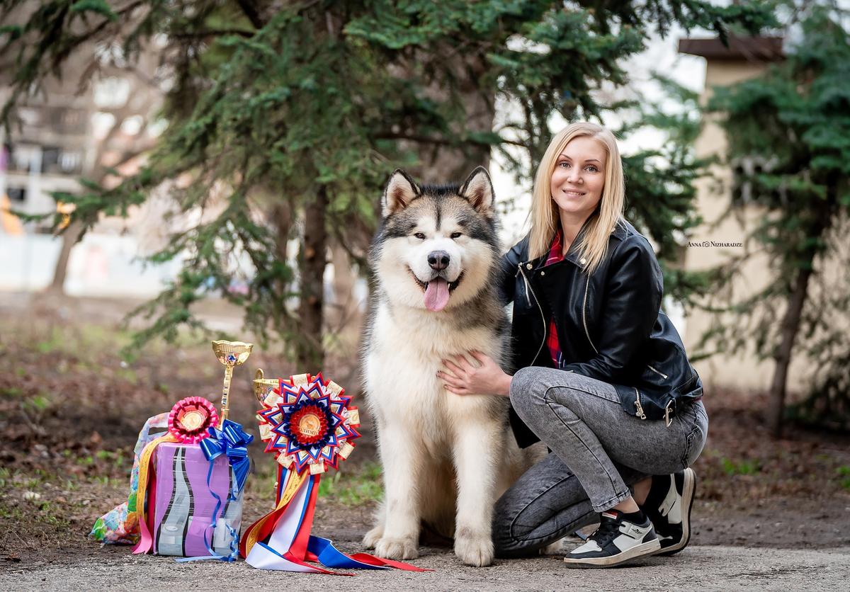 World Glory It`s My Life