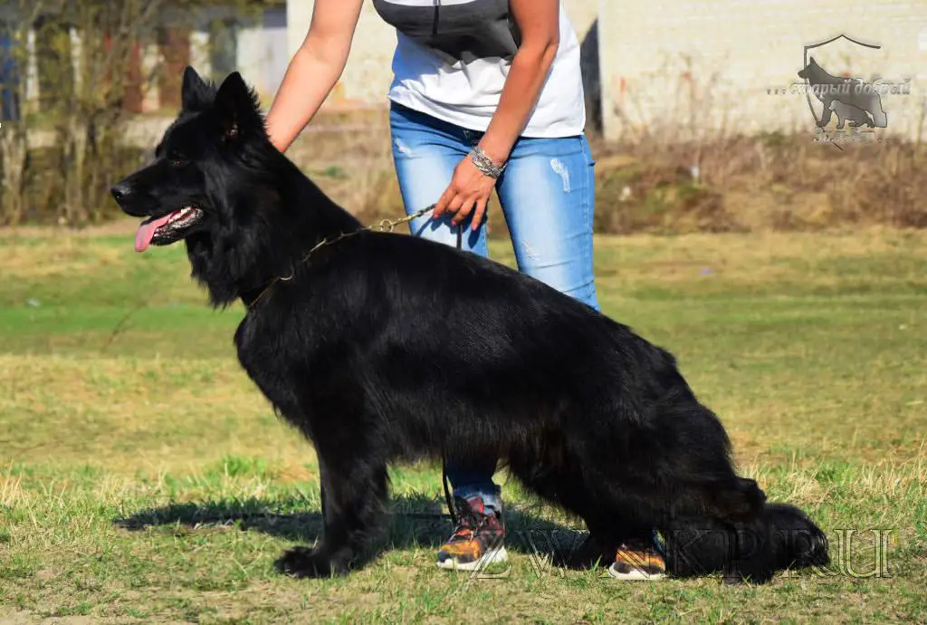 Team Zilber Wasserfall KERI