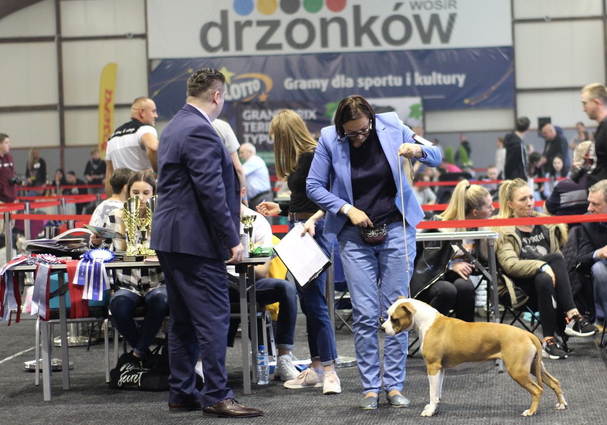JCH.PL,EUROPEAN BABY WINNER minor puppy female AIWA COMMANDING Kowarateam