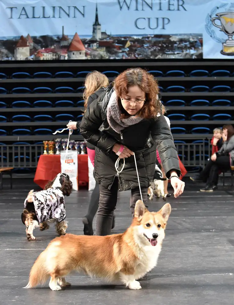 EST JCh Style Life Insight