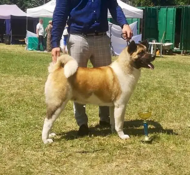 Ch.PL Marook Ravine Get A Strike