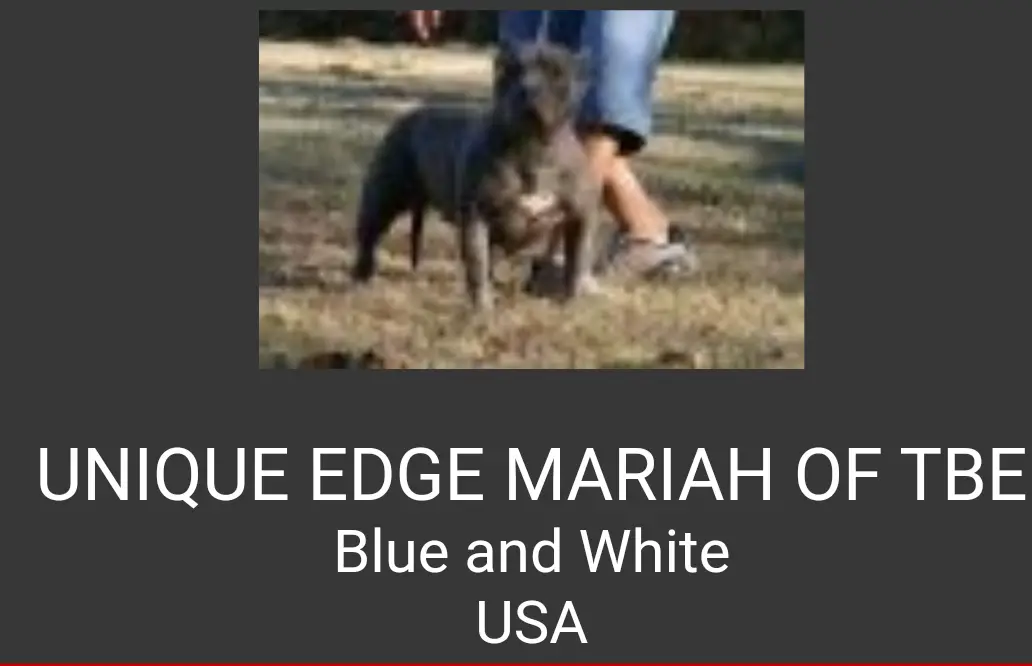 UNIQUE EDGE MARIAH OT TBE