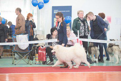 Alkhabor Almira Angelina