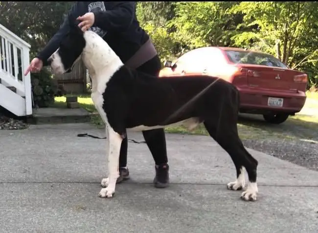 MICHAELDANE JB VMF GEM I CAN BE YOUR PAYBACK