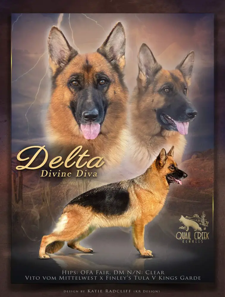 Delta Divine Diva