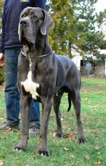 Gakilah De La Benjamine